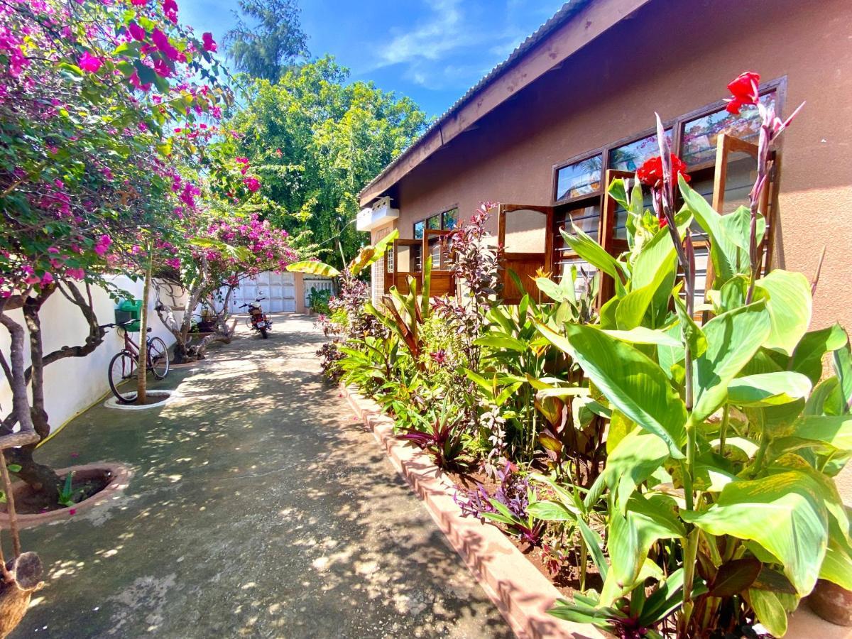 Villa Orchid Beach Guest House Bwejuu Exterior photo
