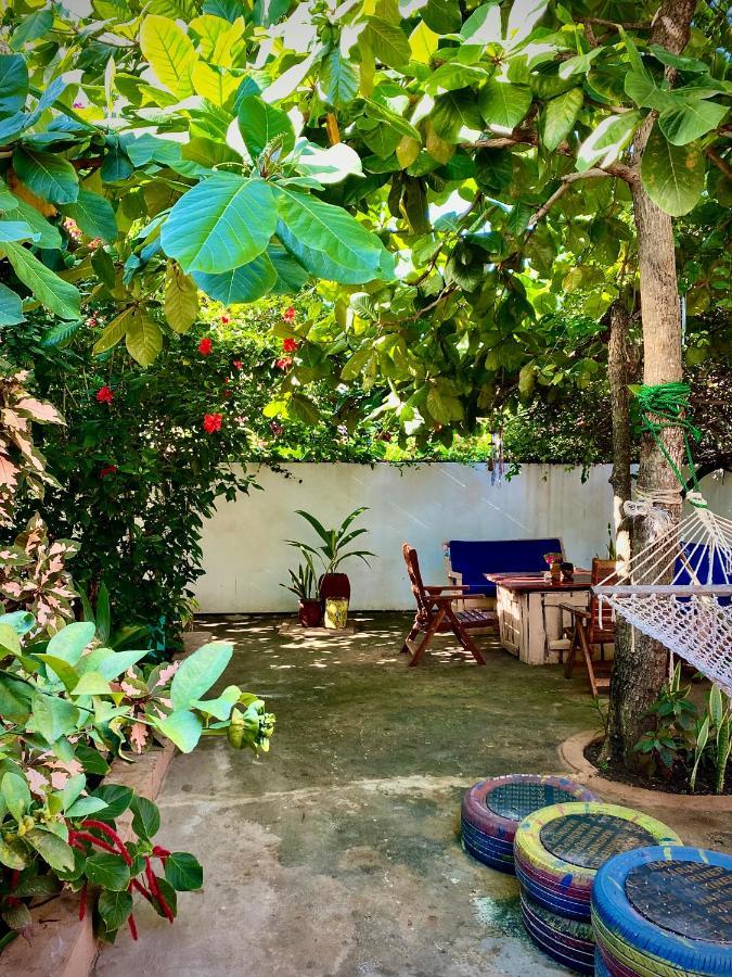 Villa Orchid Beach Guest House Bwejuu Exterior photo